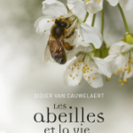 livre de Didier Van Cauwelaert, les abeilles et la vie