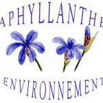 Logo Aphyllante Environnement
